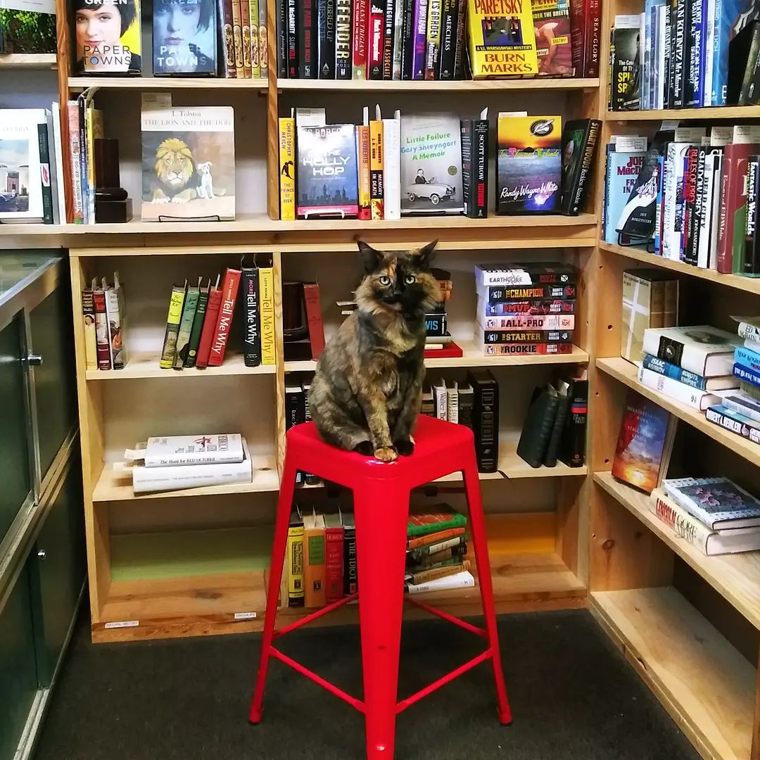 Transgender owned and operated in Lakewood turns a new page